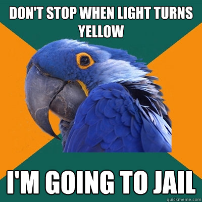 don't stop when light turns yellow i'm going to jail - don't stop when light turns yellow i'm going to jail  Paranoid Parrot