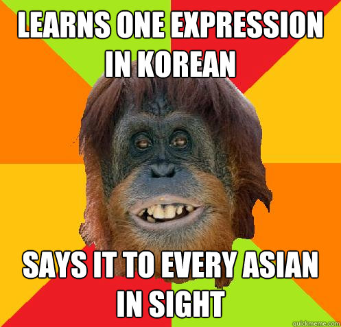 Learns one expression in korean Says it to every asian in sight - Learns one expression in korean Says it to every asian in sight  Culturally Oblivious Orangutan