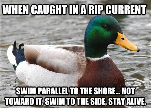 When caught in a rip current swim parallel to the shore... not toward it. swim to the side, stay alive.  Actual Advice Mallard