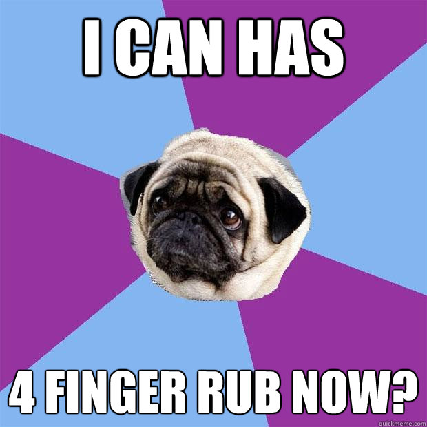 I can Has 4 finger rub now?  Lonely Pug