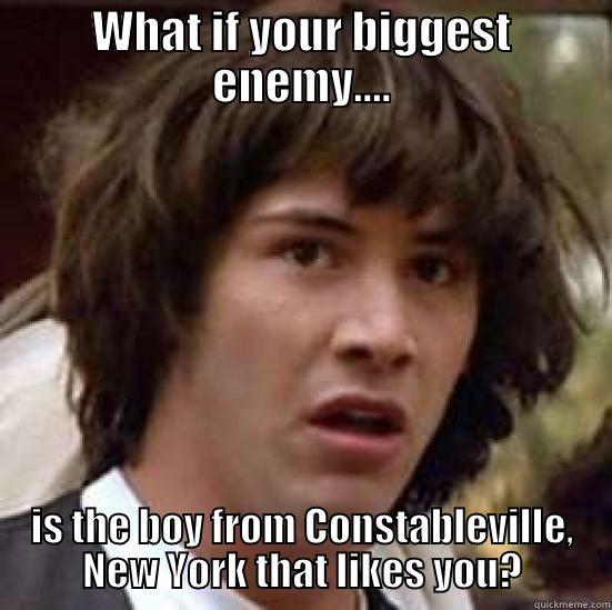 WHAT IF YOUR BIGGEST ENEMY.... IS THE BOY FROM CONSTABLEVILLE, NEW YORK THAT LIKES YOU? conspiracy keanu