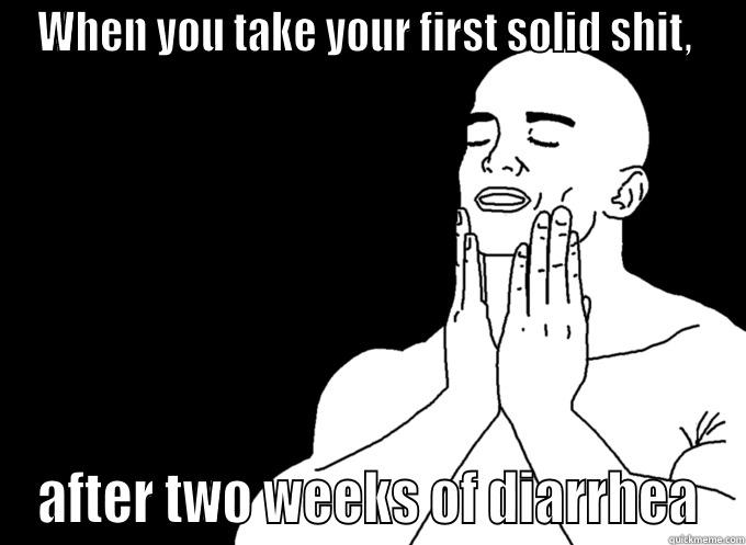 WHEN YOU TAKE YOUR FIRST SOLID SHIT,  AFTER TWO WEEKS OF DIARRHEA Misc