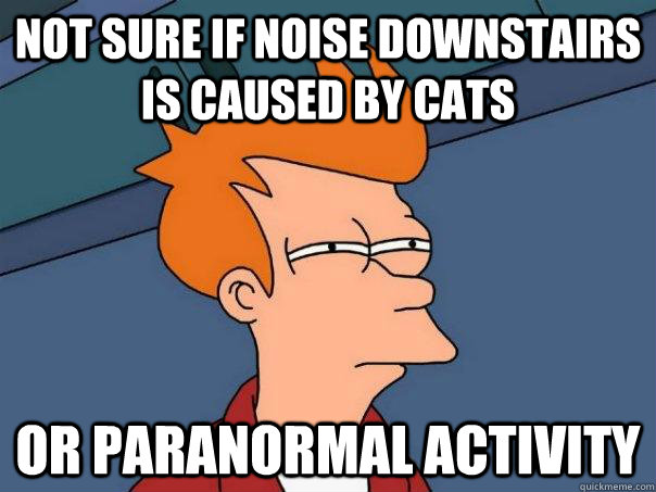 Not sure if noise downstairs is caused by cats Or paranormal activity  Futurama Fry