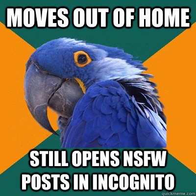 Moves out of Home Still Opens NSFW Posts in Incognito  Paranoid Parrot