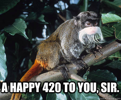 A HAPPY 420 TO YOU, SIR. - A HAPPY 420 TO YOU, SIR.  GRANDADDY KONG