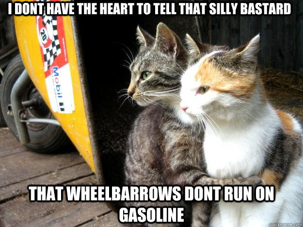 i dont have the heart to tell that silly bastard that wheelbarrows dont run on gasoline  Restraining Cat