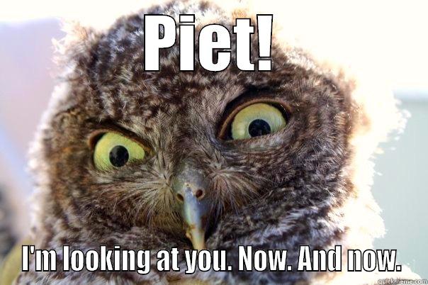 PIET! I'M LOOKING AT YOU. NOW. AND NOW. Misc