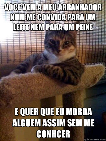 voce vem a meu arranhador num me convida para um leite nem para um peixe e quer que eu morda alguem assim sem me conhcer  The Most Interesting Cat in the World