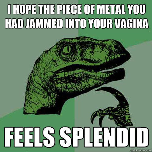 I hope the piece of metal you had jammed into your vagina feels splendid - I hope the piece of metal you had jammed into your vagina feels splendid  Philosoraptor