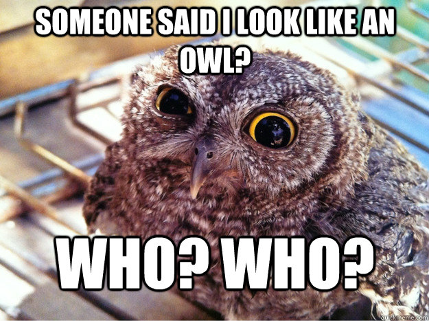 Someone said I look like an owl? WHO? WHO?  Skeptical Owl