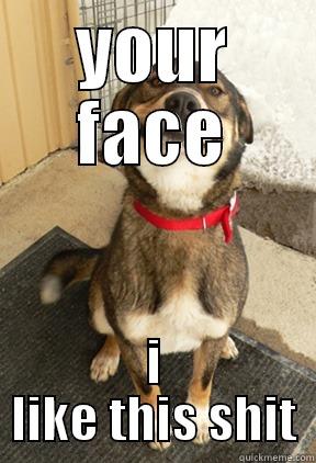 YOUR FACE I LIKE THIS SHIT Good Dog Greg
