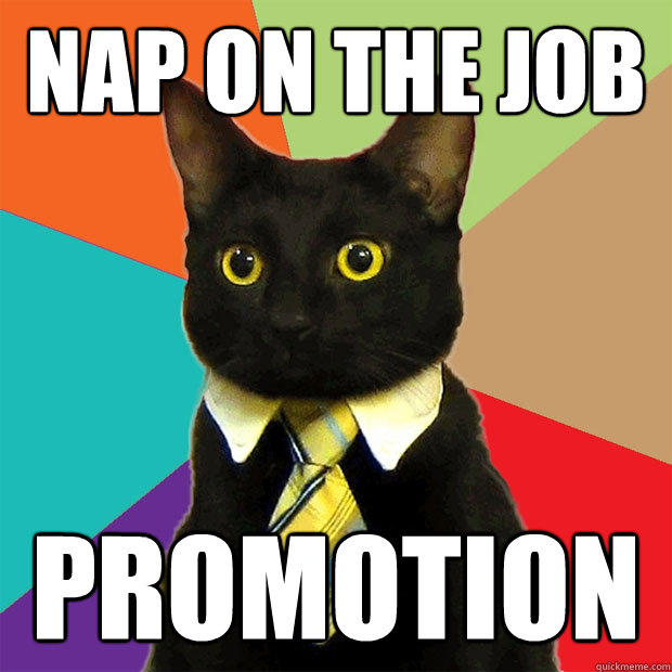 Nap on the job PROMOTION  Business Cat