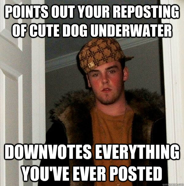 Points out your reposting of cute dog underwater downvotes everything you've ever posted - Points out your reposting of cute dog underwater downvotes everything you've ever posted  Scumbag Steve