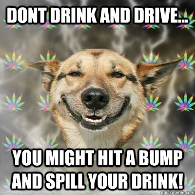 Dont drink and drive... You might hit a bump and spill your drink!   Stoner Dog