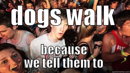 DOGS WALK BECAUSE WE TELL THEM TO Sudden Clarity Clarence