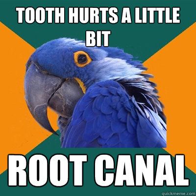 tooth hurts a little bit root canal  Paranoid Parrot