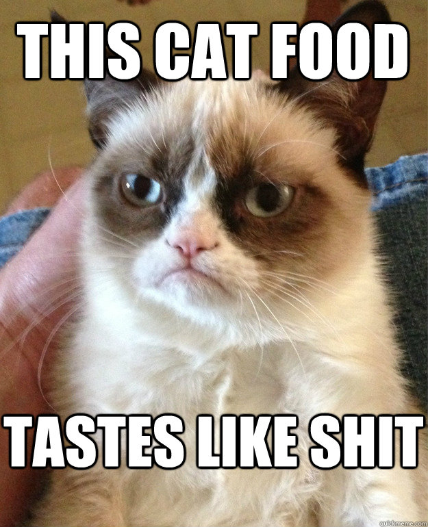 This cat food tastes like shit  Grumpy Cat