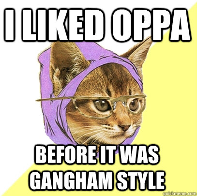 I liked oppa before it was gangham style  Hipster Kitty