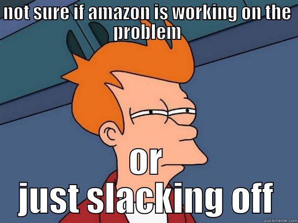 NOT SURE IF AMAZON IS WORKING ON THE PROBLEM OR JUST SLACKING OFF Futurama Fry