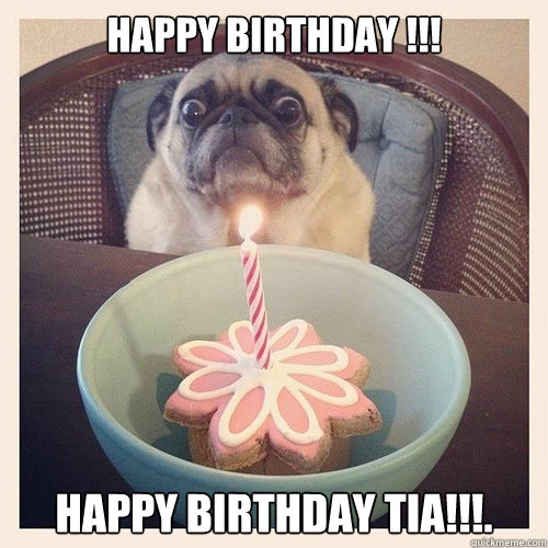 Happy Birthday !!! Happy Birthday tia!!!. - Happy Birthday !!! Happy Birthday tia!!!.  Scared birthday pug