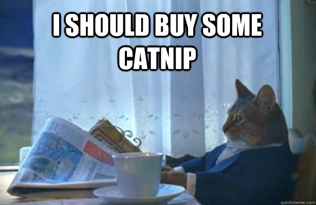 I should buy some catnip  Sophisticated Cat