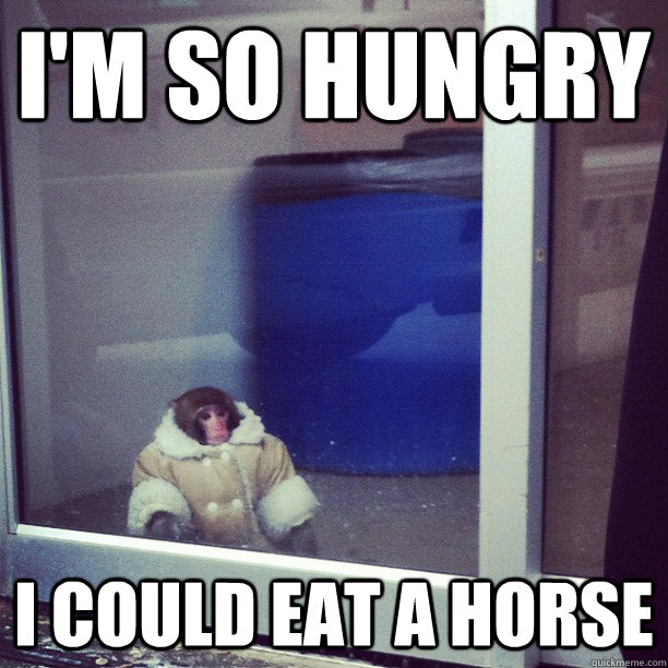 I'm So hungry I could eat a horse  Ikea Monkey