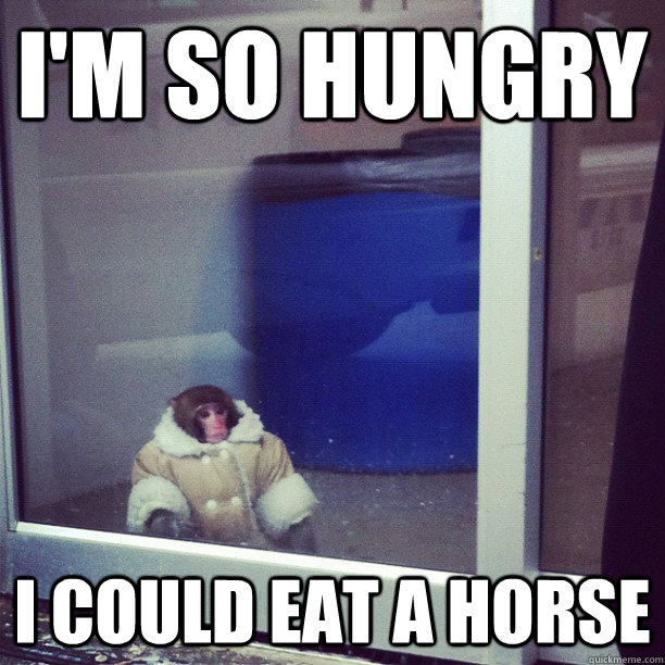 I'm So hungry I could eat a horse - I'm So hungry I could eat a horse  Ikea Monkey