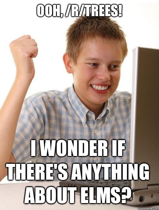 Ooh, /r/trees! I wonder if there's anything about elms?  First Day on the Internet Kid