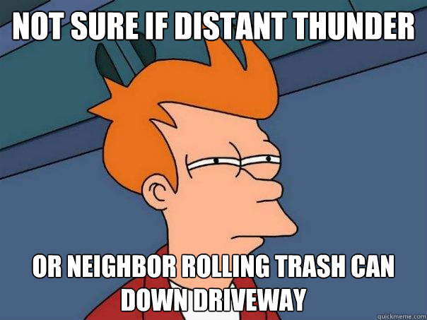 not sure if distant thunder or neighbor rolling trash can down driveway  Futurama Fry