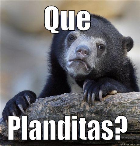 QUE PLANDITAS? Confession Bear