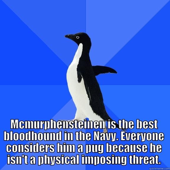 MCMURPHENSTEINEN IS THE BEST BLOODHOUND IN THE NAVY. EVERYONE CONSIDERS HIM A PUG BECAUSE HE ISN'T A PHYSICAL IMPOSING THREAT. Socially Awkward Penguin