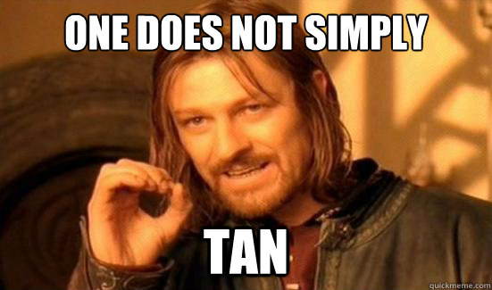 One Does Not Simply Tan  Boromir