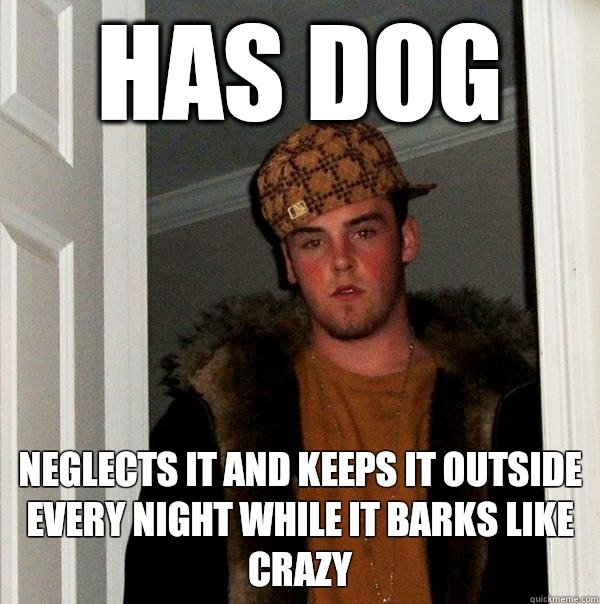 Has dog Neglects it and keeps it outside every night while it barks like crazy  Scumbag Steve