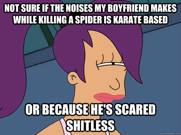 Not sure if the noises my boyfriend makes while killing a spider is karate based or because he's scared shitless  - Not sure if the noises my boyfriend makes while killing a spider is karate based or because he's scared shitless   Leela Futurama
