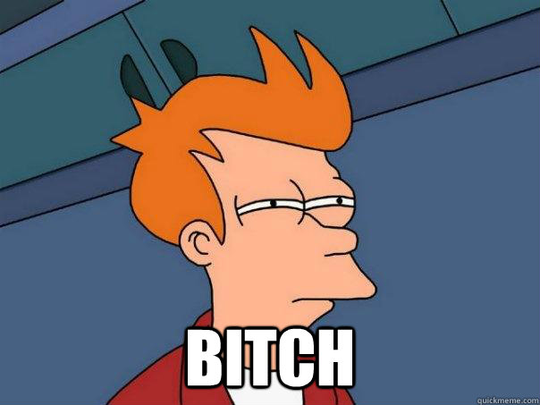 bitch  Futurama Fry