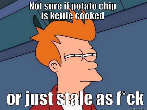                 NOT SURE IF POTATO CHIP                 IS KETTLE COOKED    OR JUST STALE AS F*CK Futurama Fry