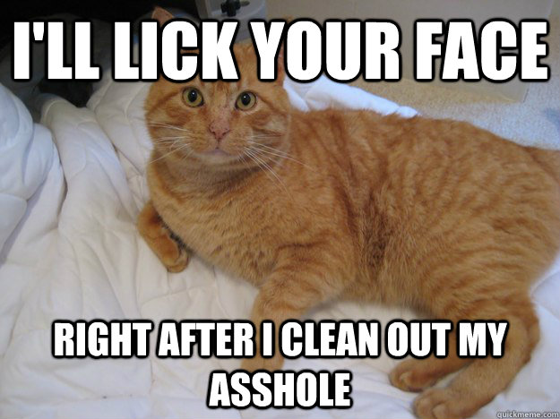 I'll lick your face Right after I clean out my asshole - I'll lick your face Right after I clean out my asshole  Cat Logic