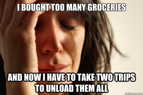 I bought too many groceries and now I have to take two trips to unload them all - I bought too many groceries and now I have to take two trips to unload them all  First World Problems