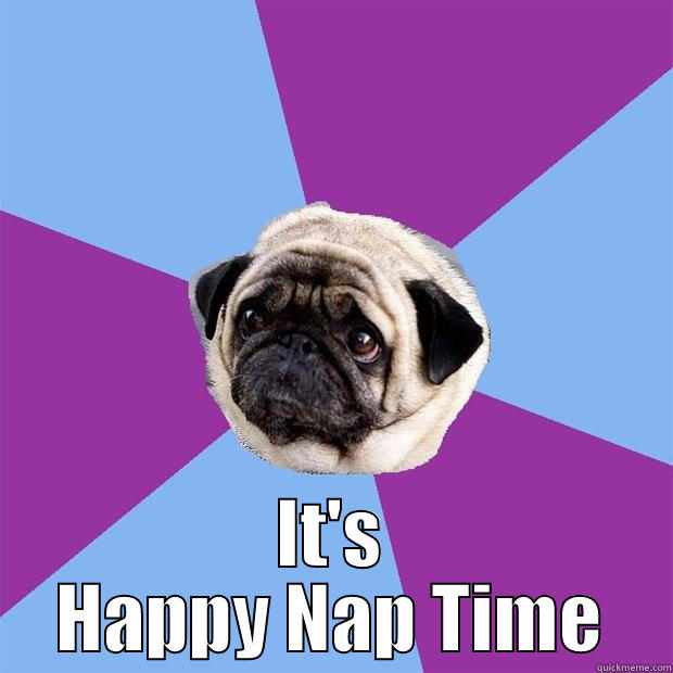  IT'S HAPPY NAP TIME Lonely Pug