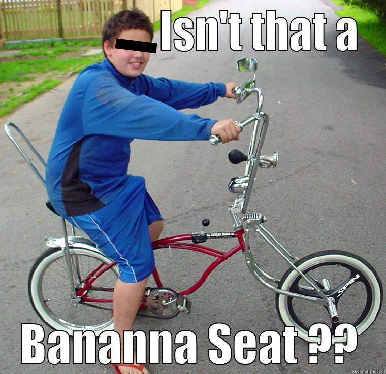                  ISN'T THAT A BANANNA SEAT ?? Misc