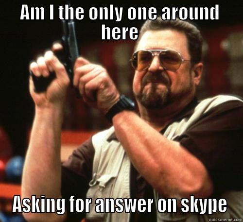 Am I the only one on Skype for question - AM I THE ONLY ONE AROUND HERE ASKING FOR ANSWER ON SKYPE Am I The Only One Around Here