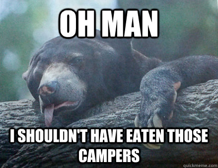 Oh man I shouldn't have eaten those campers  Regret Bear