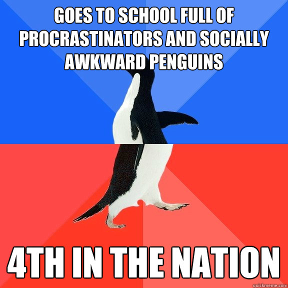 Goes to school full of procrastinators and Socially awkward penguins 4th in the nation  Socially Awkward Awesome Penguin
