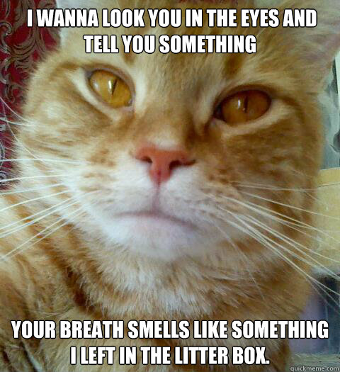  I wanna look you in the eyes and tell you something your breath smells like something I left in the litter box.  Stank breath