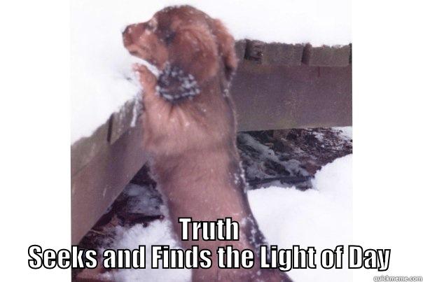  TRUTH SEEKS AND FINDS THE LIGHT OF DAY Misc