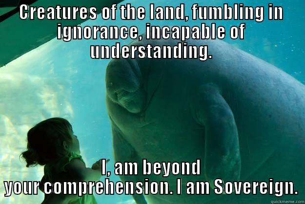CREATURES OF THE LAND, FUMBLING IN IGNORANCE, INCAPABLE OF UNDERSTANDING. I, AM BEYOND YOUR COMPREHENSION. I AM SOVEREIGN. Overlord Manatee