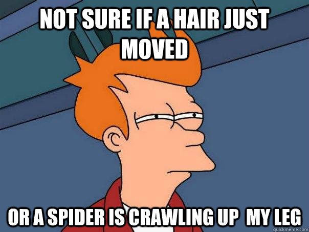 Not sure if a hair just moved or a spider is crawling up  my leg  Futurama Fry