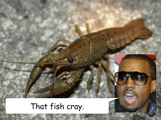 That fish cray.  crayfish