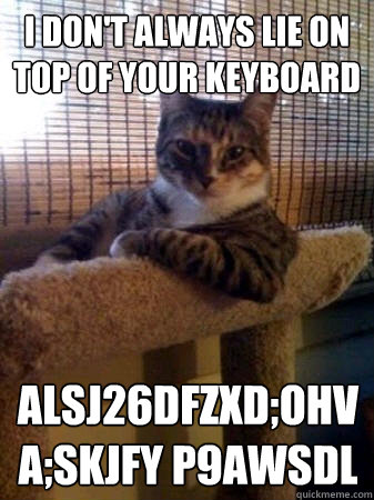 I DON'T ALWAYS LIE ON TOP OF YOUR KEYBOARD alsj26dfzxd;ohva;skjfy p9awsdl  The Most Interesting Cat in the World