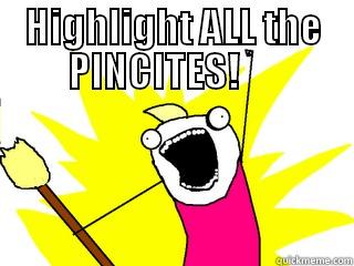 HIGHLIGHT ALL THE PINCITES!       All The Things